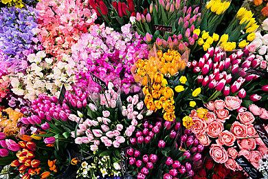 《尤卡莱利大冒险：增强版》确认今年推出