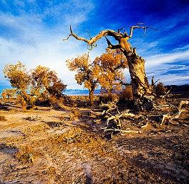 《战锤40K：暗潮》宣布跳票 延期至9月发售